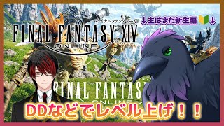 【#FF14】LVあげ枠！マウントもらえるイベントきてるよっ！