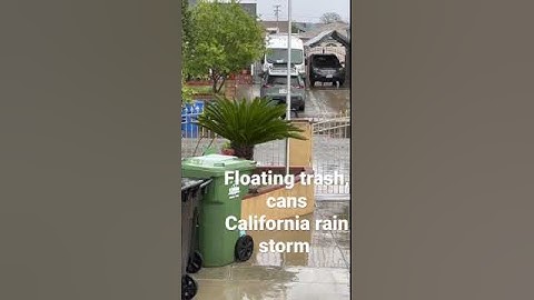 Floating trashcan #aquarium #fish ￼