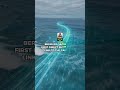 Google Announce Digital Pathway Between Bermuda and the Caribbean