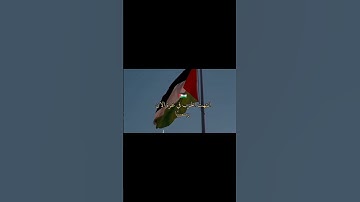 إنتهت الحرب في غزة القرآن الكريم آية النصر للمؤمنين