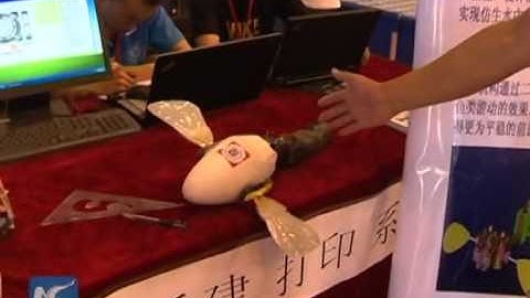 Robotic fish compete in NW China