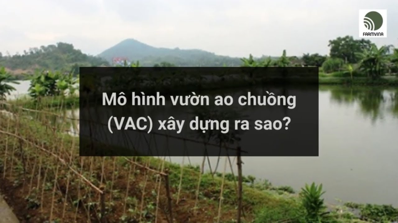 Tìm hiểu kiến trúc nhà vườn truyền thống  văn hóa nông thôn Việt Nam  Gỗ  Trang Trí