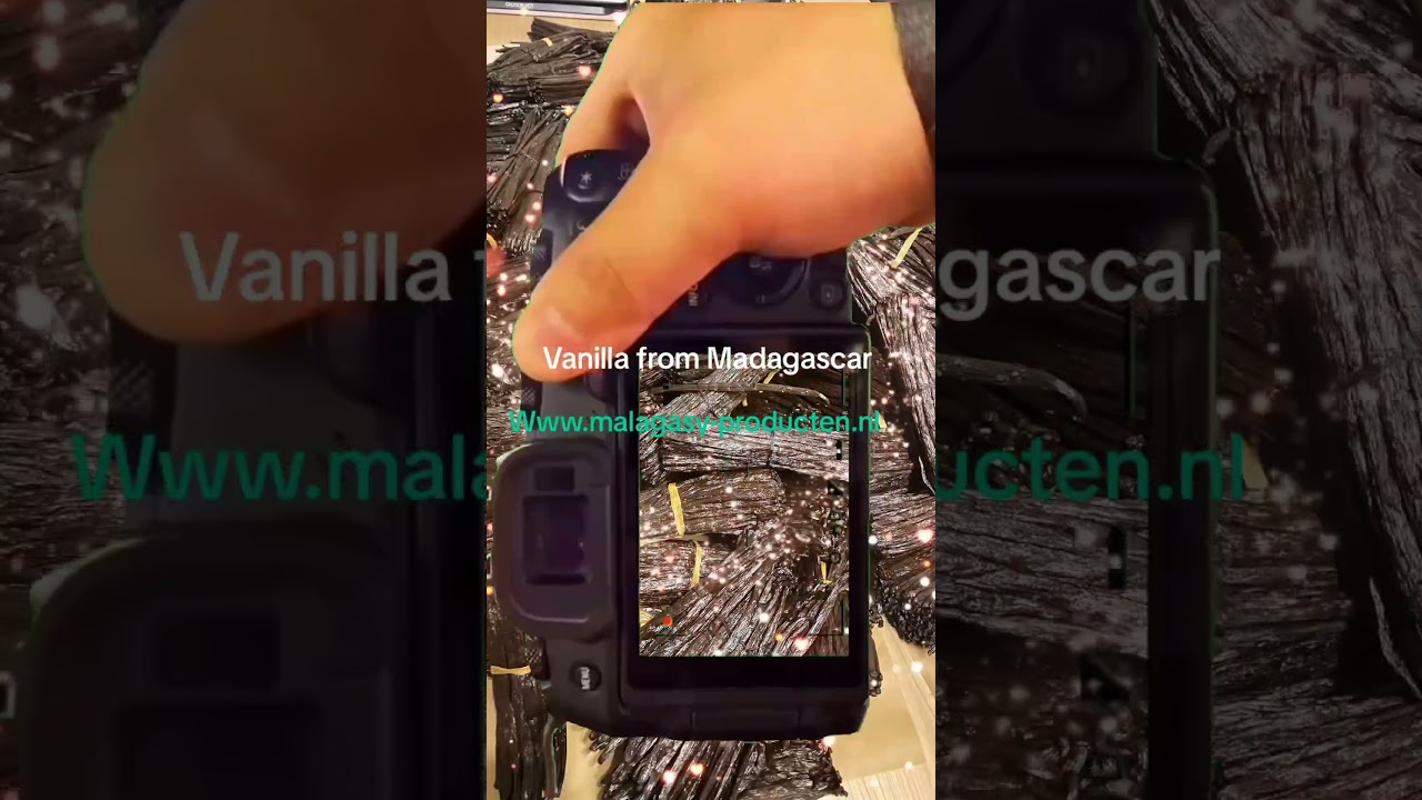 Vanille uit Madagaskar. www.malagasy-producten.nl