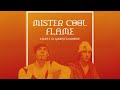Snook × Jungle &amp; Erick The Architect - Mister Cool Flame (Couple of Grooves Mashup)
