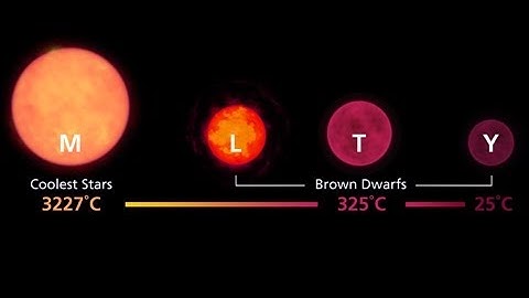 Science Bulletins: Elusive Y-Dwarfs Discovered