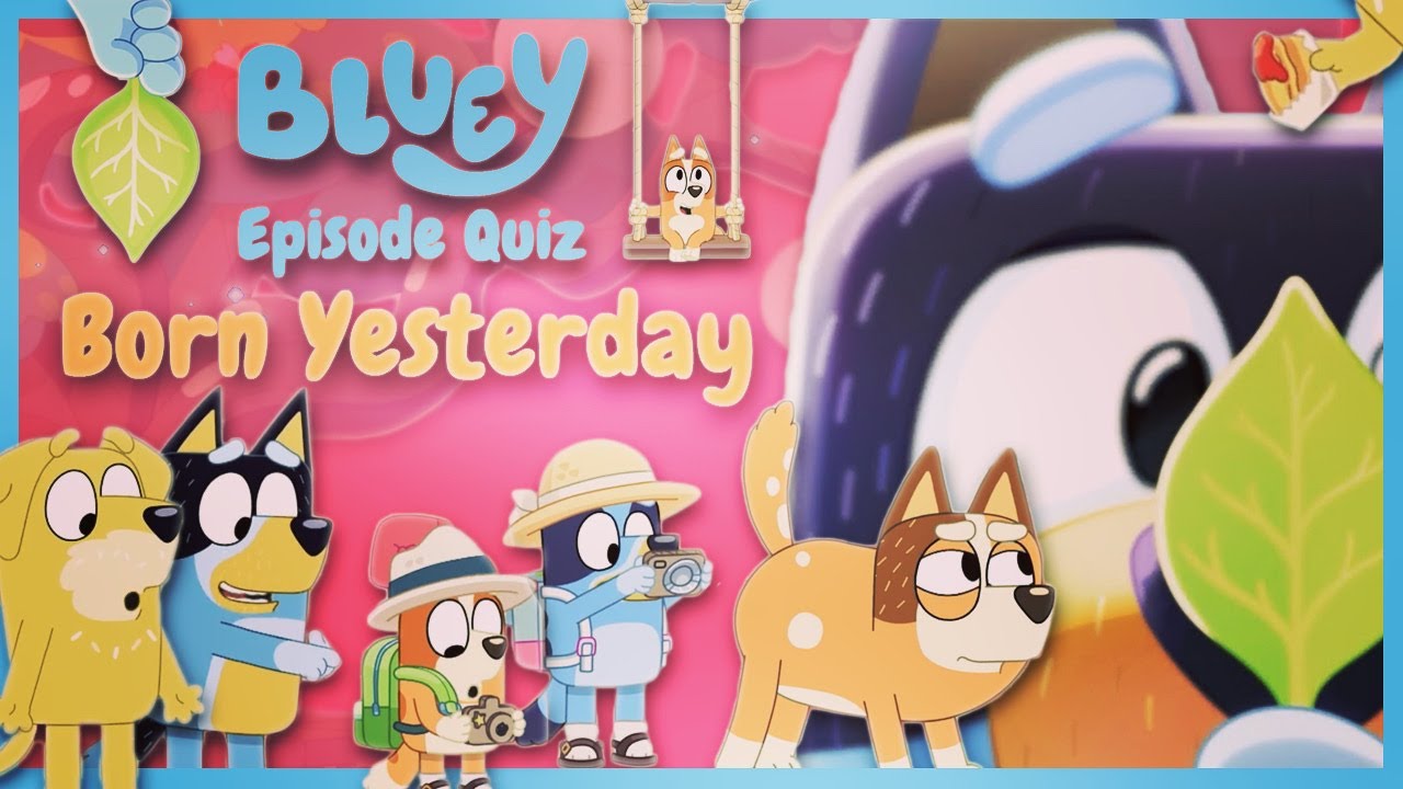 Bluey Quiz - Season 3 - BORN YESTERDAY 👶 - Bandit's born again!?! - YouTube
