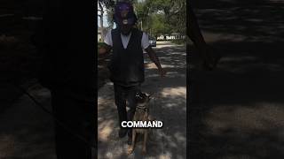HOW TO use the @invirox_ Ultra K9 ECollar effectively. #ecollar #dogtraining #PositiveReinforcement