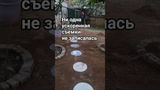 О чем плачет дачник который ведёте Блог?