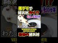 毒グモで綿あめを作ってみた
