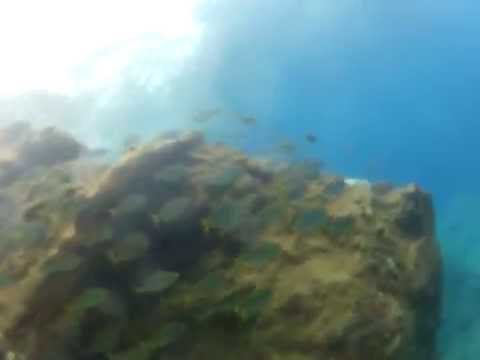 madeira-september-2014