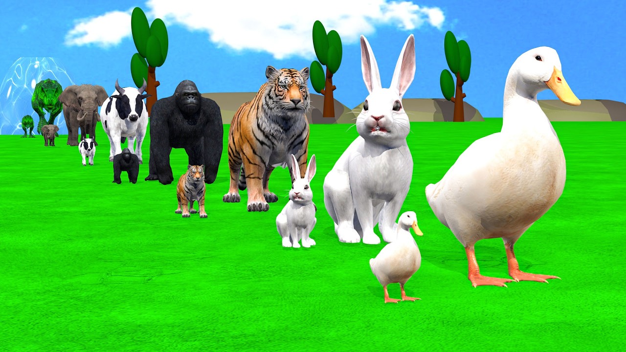 Long Slide Game With Cow Elephant Gorilla Hippopotamus Tiger - 3d Animal Game - Funny 3d Animals