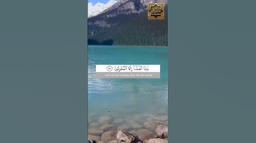 قالوا وهم فيها يختصمون - سورة الشعراء - القارئ الشيخ ياسر الدوسرى