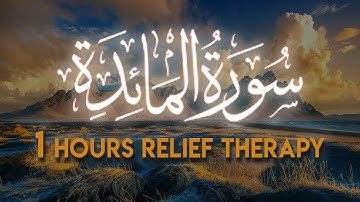 سوره مائده 1 ساعت درمان کامل بدون تبلیغات قرآن کریم، رعد الکردی