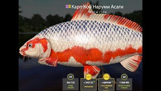 Русская Рыбалка 4 шортс стрим #rr4 #рыбалка #русскаярыбалка4 #shorts