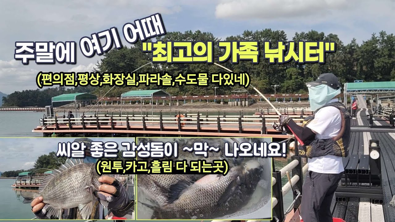 이런곳에 대물 감성돔이 ~알아두면 좋은 최고의 가족 낚시터(편의점,평상,화장실,파라솔,수도물 다있슴)