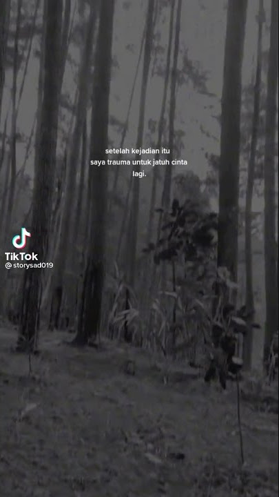 STORY WA 9 DETIK//TRAUMA SOAL CINTA