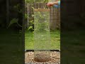 cucumber curtain tower timelapse 🥒🧵 #shorts #timelapse #gardening