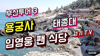 64.임영웅 팬 식당/용궁사/태종대/감지해변 걸어보기
