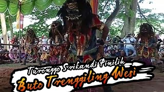 Jathilan Turonggo Srikandi Pinilih Babak Rampak Gedruk Trenggiling Wesi Live Tlaga Jonge