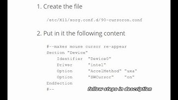 invisible mouse arrow in ubuntu