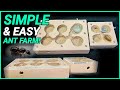DIY FLAT GROUT NEST | D colony
