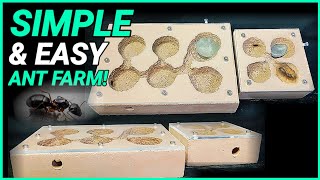 DIY FLAT GROUT NEST | D colony