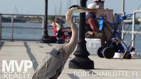 Port Charlotte, FL -- Oleg Lisitsyn -- Your Realtor