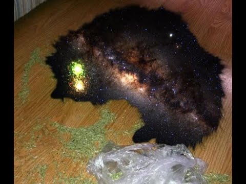 Another trip into space - T0t0 Mix Jan 22'