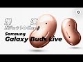 【爆速ガジェットレビュー】Galaxy Buds Live編