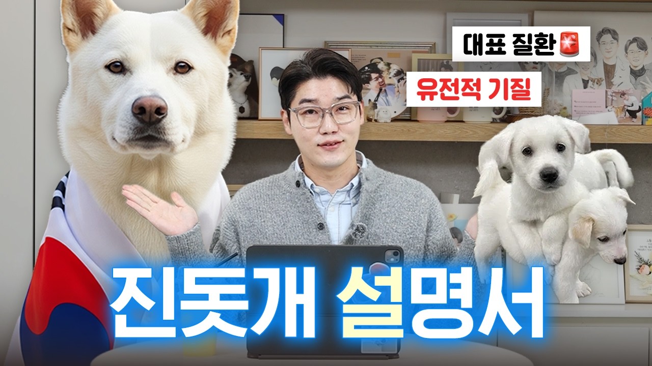 진돗개 🇰🇷 대표 유전 질환과 관리 팁 알려드려요! | 견종 설명서 | 설채현 행동학 수의사