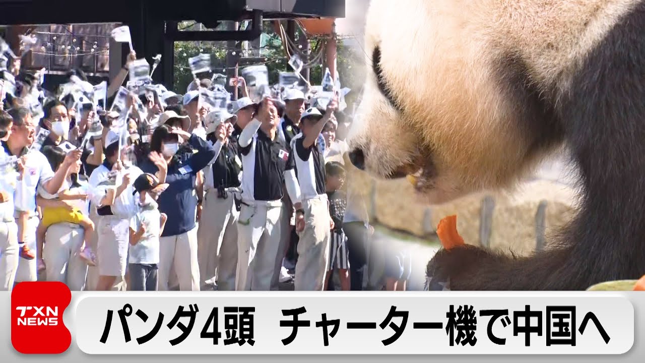 中国に返還のパンダ4頭 四川省へ向け出発