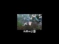 雨でびしょ濡れの猫たちに猫ハウス #shorts