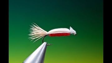 Fly Tying a Devil Bug with Barry Ord Clarke
