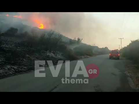 Eviathema.gr - Φωτιά στο Μηλάκι Κύμης Αλιβερίου