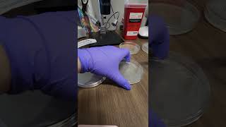 C. elegans Maintenance Tutorial