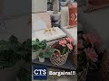 CTS | Christmas Tree Shops Bargains! GO ASAP!
