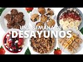 UNA SEMANA DE DESAYUNOS | USANDO AVENA Y BANANAS | Michela Perleche