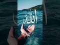 #Allah#allahﷻallah #voiceeffects #Allah #best #beautiful #live #nature