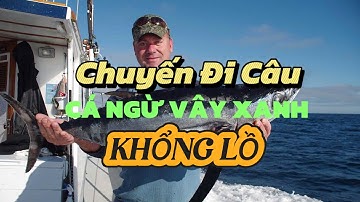 Chuyến đi câu cá Ngừ vây xanh khổng lồ đáng nhớ trong đời
