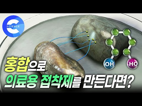 홍합으로 의료용 접착제를 만들 수 있을까 자연에서 배운다 과학 다큐 비욘드 