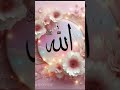allah #allah #love #beautiful #islamicstoriesinurduandhindi #pawarholakhalidhobijatimere #art