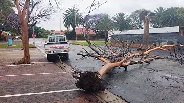 South Africa Today on 16 November 2025