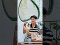 T32 – Chiếc Túi Mini Tote "Phải Có" Cho Những Nàng Thơ Hiện Đại #tuidacaocap #tuichongnuoc #tuixach