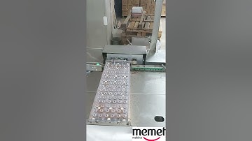 SHELL LINE MEMET MACHINE