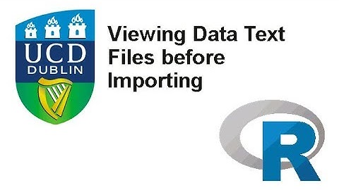 Viewing data text files before importing into R