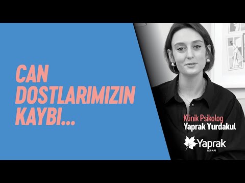 Video: Evcil Hayvanın Ölümüyle Nasıl Başa Çıkılır?