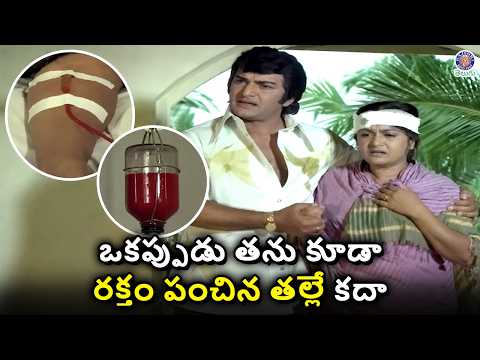 ఒకప్పుడు తను కూడా రక్తం పంచిన తల్లే కదా NTR Best Telugu Classic Scene | Jayaprada