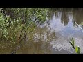 Рыбалка у дома на поплавок. Это Астрахань #shorts