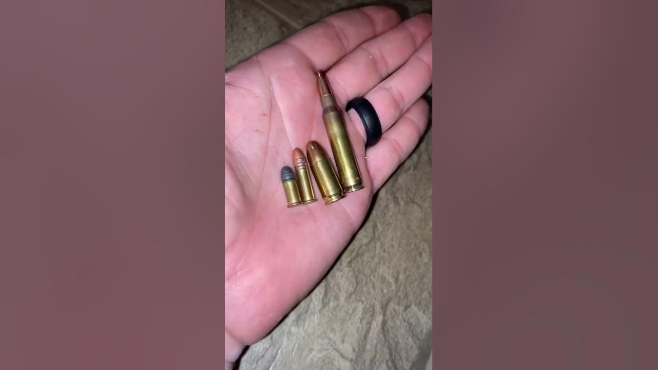 22-short-vs-22lr-vs-9mm-vs-223-youtube
