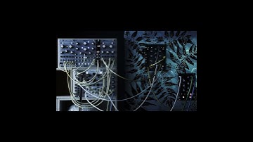 Eurorack modular synthesizer ambient / Nebulae Rings Tides Ensemble Oscillator MATHS  #Shorts